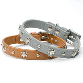 Bounty Studded Leather Dog Collar by Petiquette